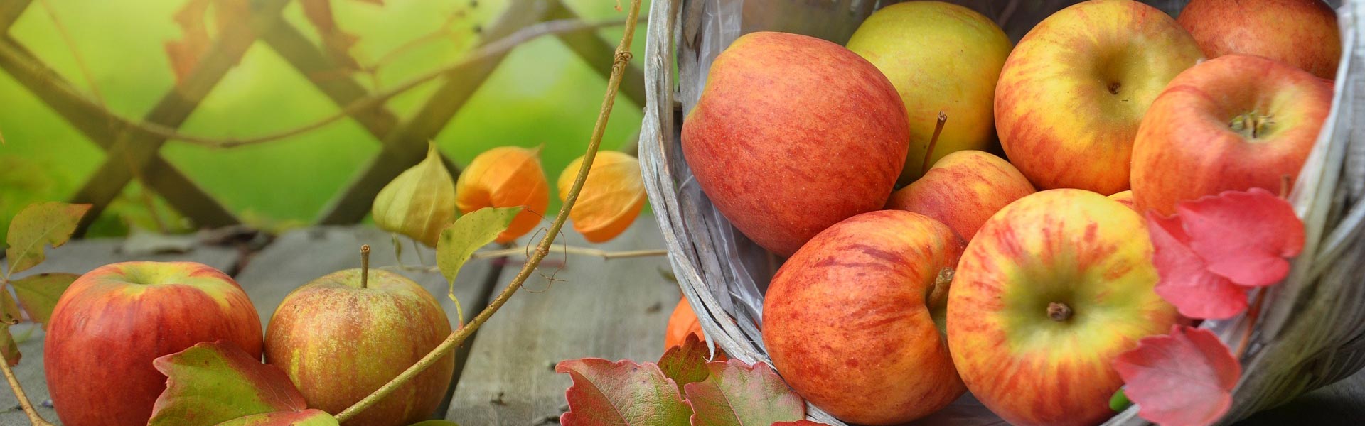 電腦幻燈片1 電腦幻燈片1