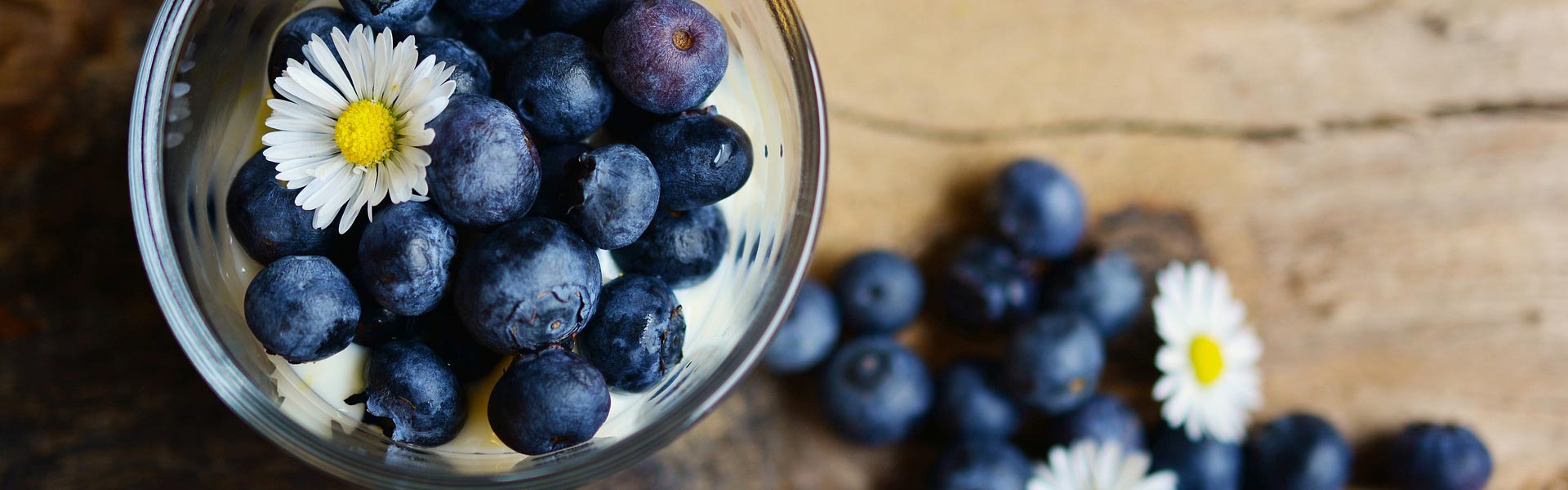 電腦幻燈片2 電腦幻燈片2